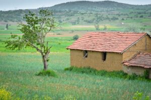 Breathing New Life into Beloved Bricks: Your Practical Guide to Old House Renovation