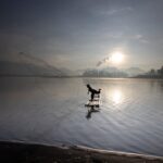 The Great Wall of Work-Life: How to Actually Keep Your To-Do List Out of Your Netflix Queue