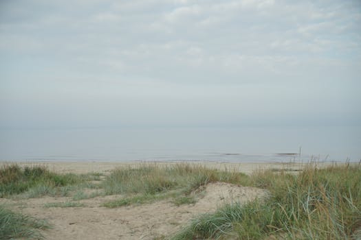 Unearthing Your Inner Sunshine: Navigating Natural Ways to Boost Mood