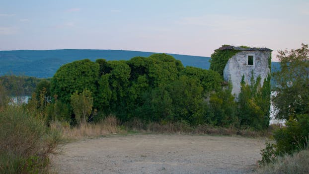 Beyond the Surface: Deciphering the True Origins of Wall Dampness