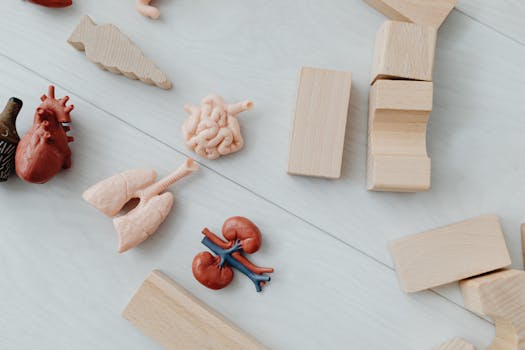Beyond Desks and Bunsen Burners: Crafting the Ideal Science Classroom Layout